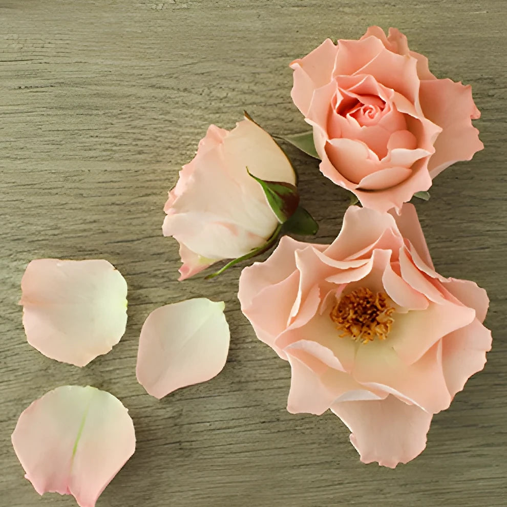 Constellation Roses Spray - alternative 5