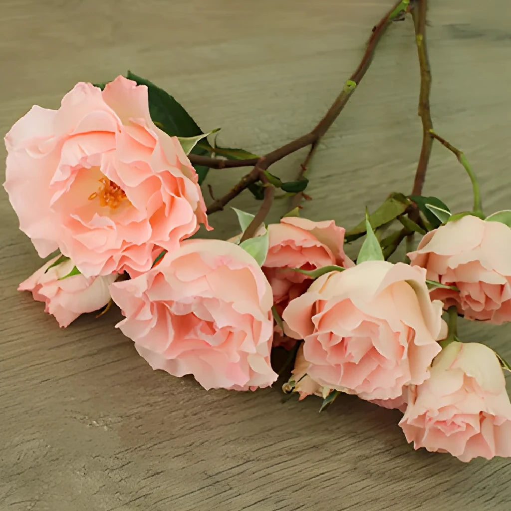 Constellation Roses Spray - main