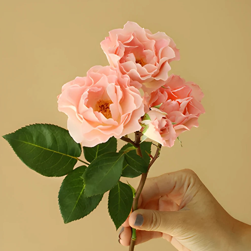 Constellation Roses Spray - alternative 1