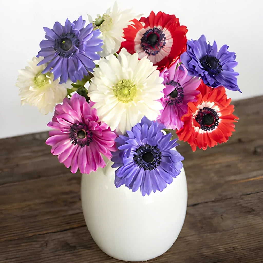 Assorted Fullstar Anemones - Assorted - alternative 2