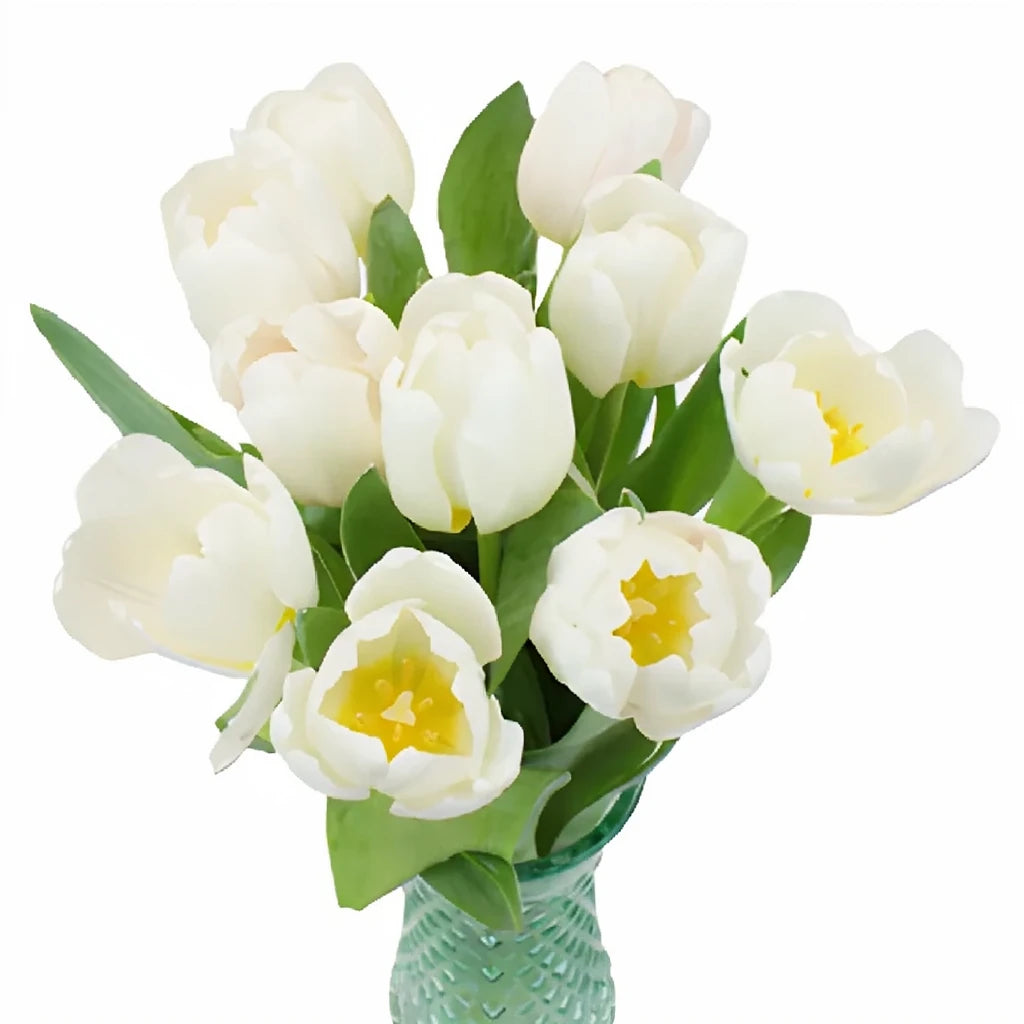 White Tulips Standard - alternative 3