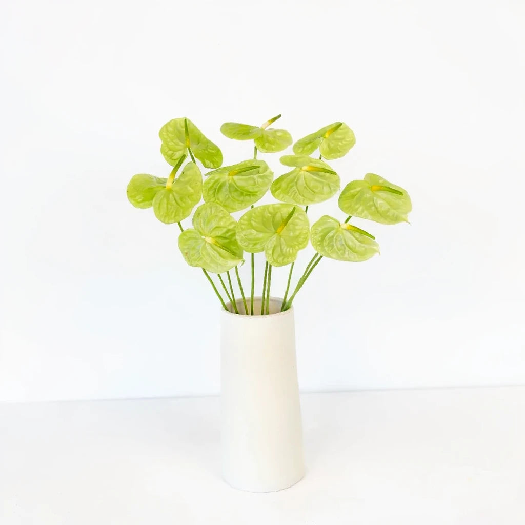 Anthurium Green Tropicals - main