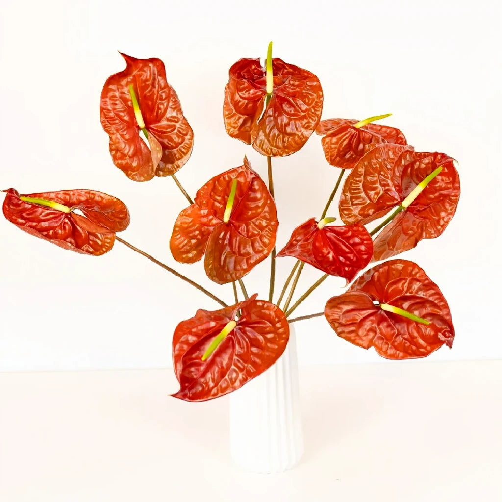 Anthurium Tropicals - Brown - alternative 2