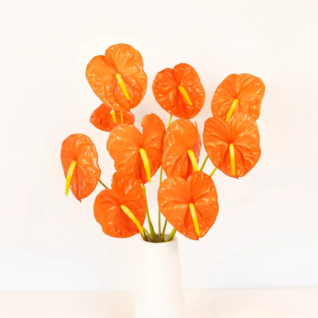 Anthurium Tropicals - Coral - alternative 3