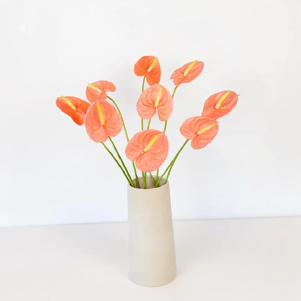 Buy Anthuriums Peach Tropicals-Farm Exports Flower Wholesale