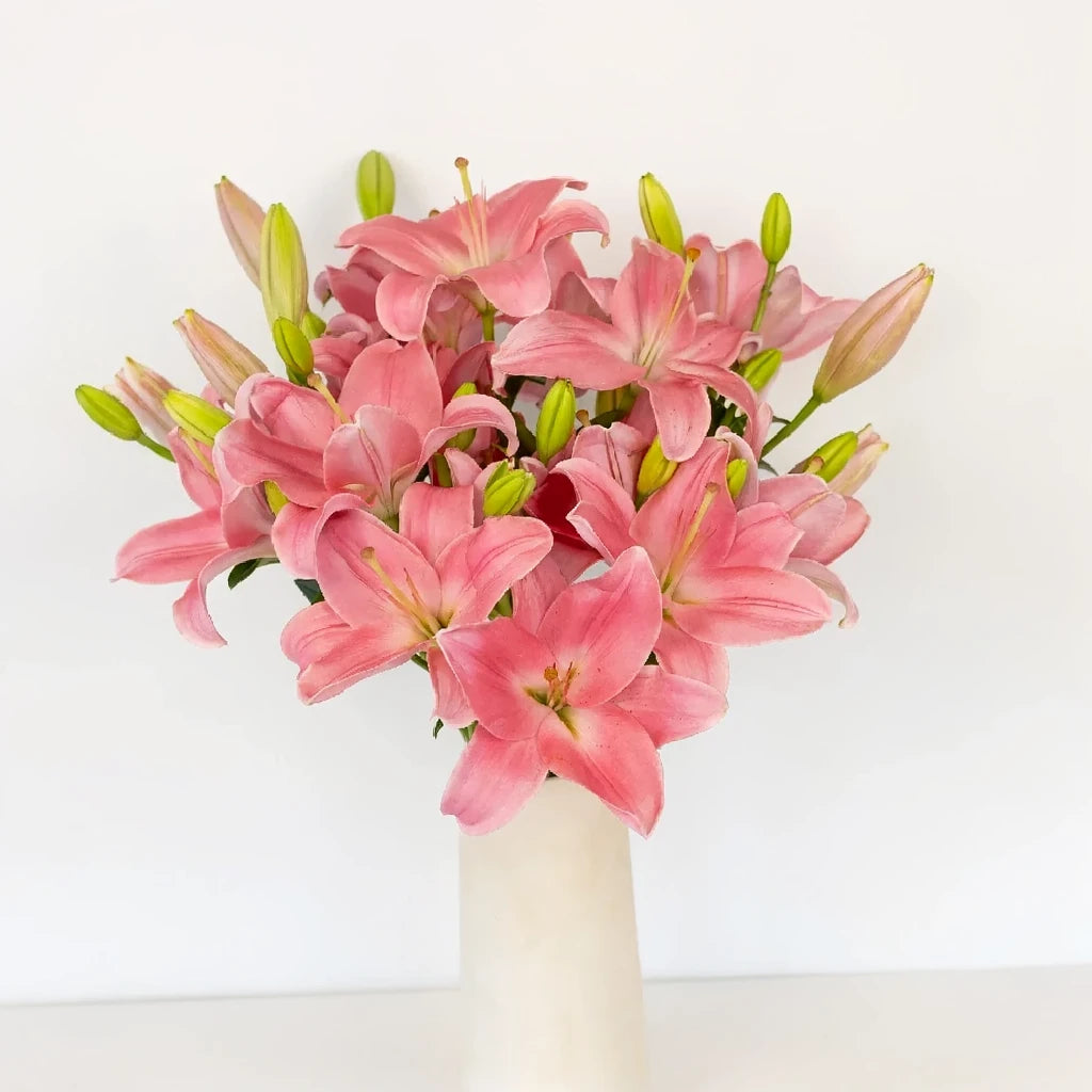 Indian Summerset Lilies Asiatic - main