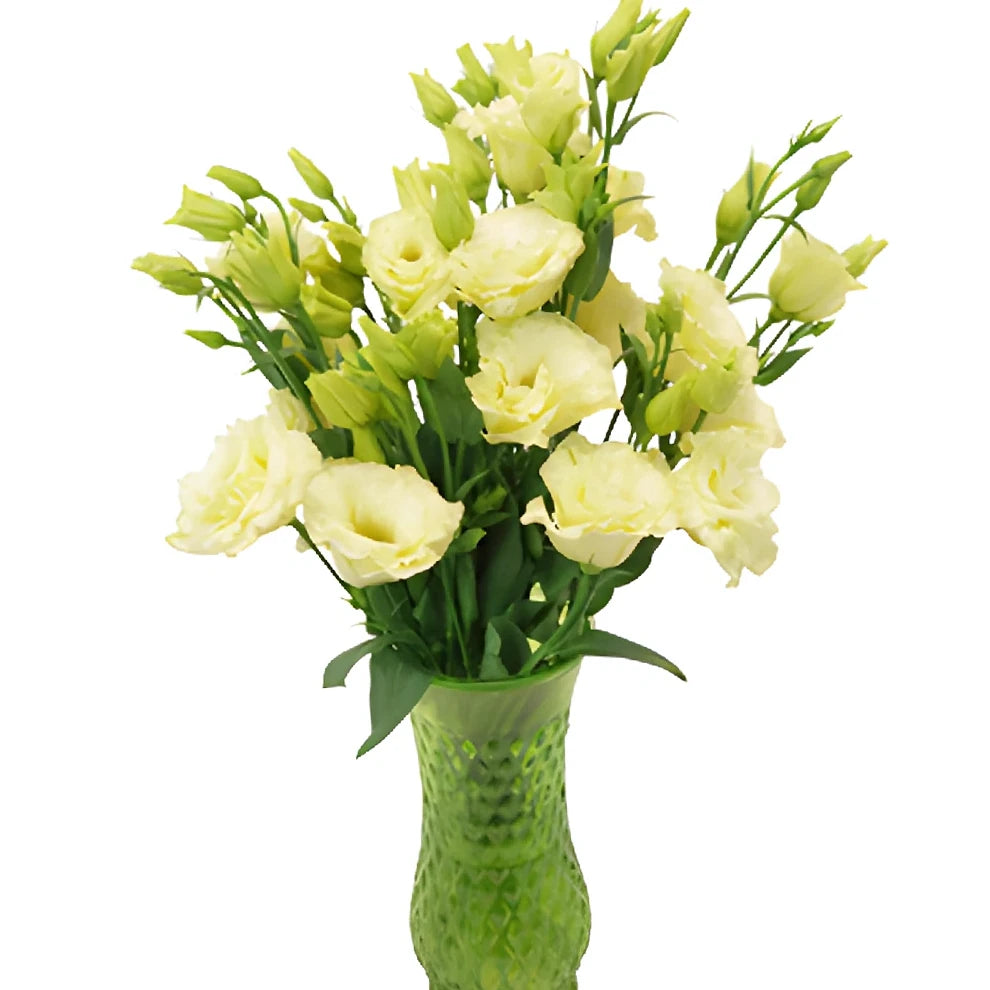 Champagne Lisianthus - alternative 3