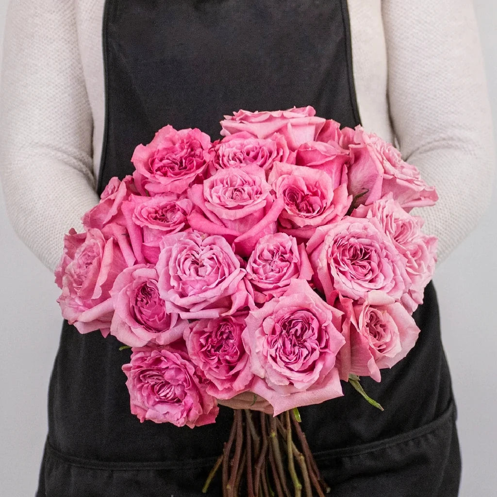 Art Deco Roses Standard - alternative 3