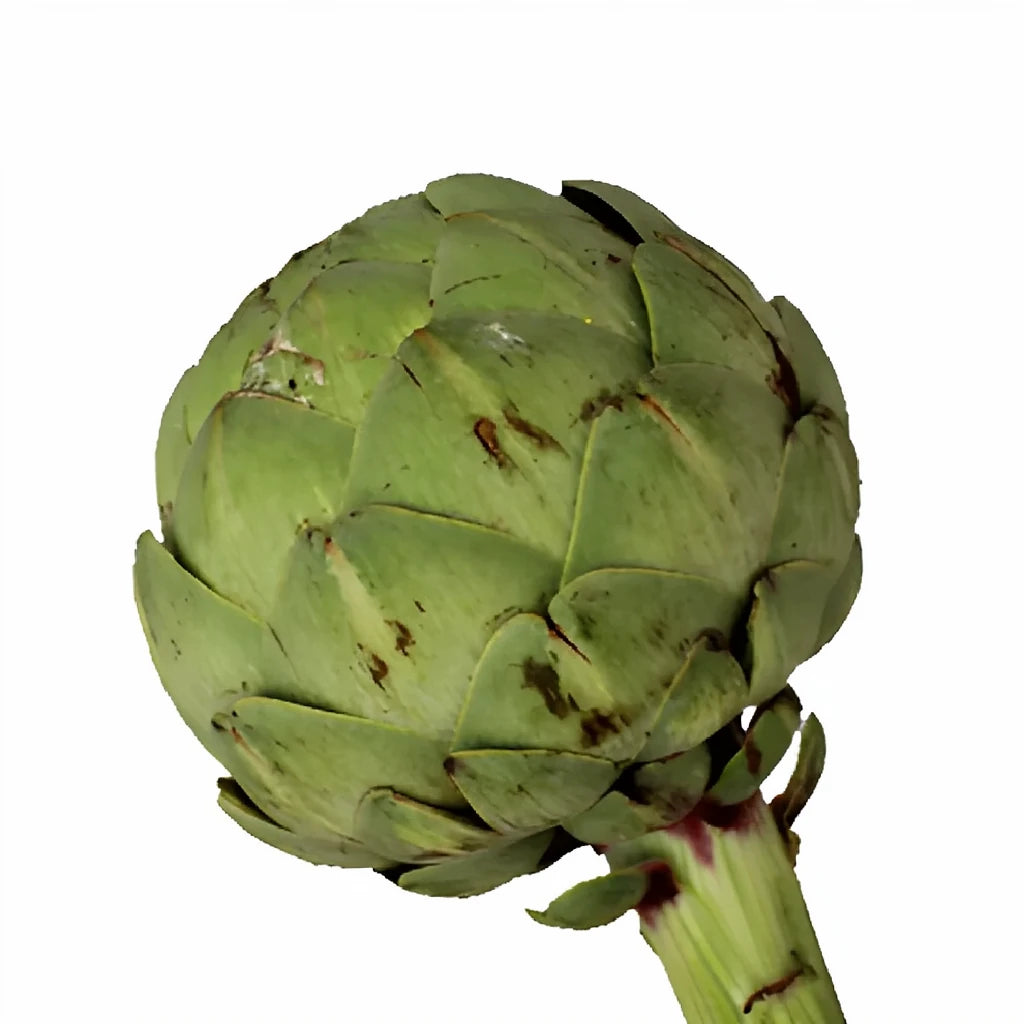 Green Artichokes - main