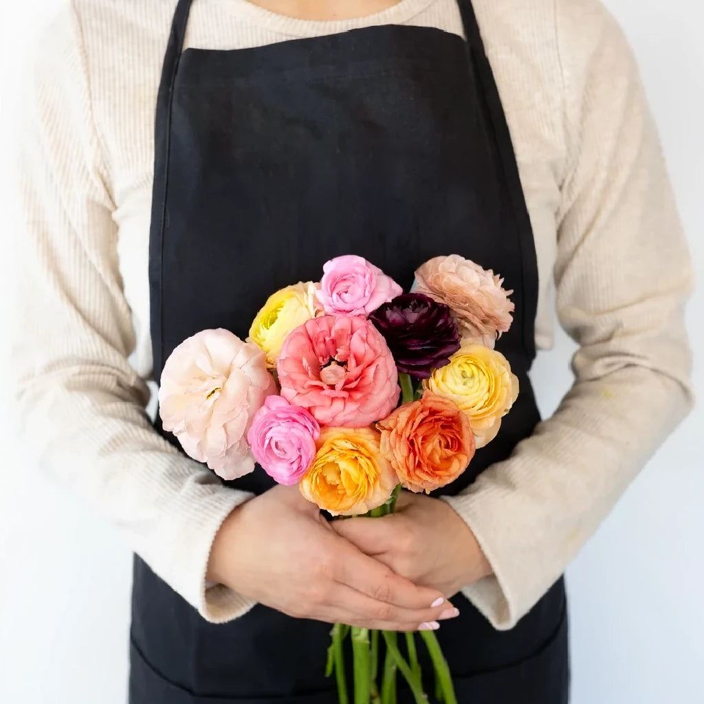 Purple Ranunculus Cloony - alternative 1