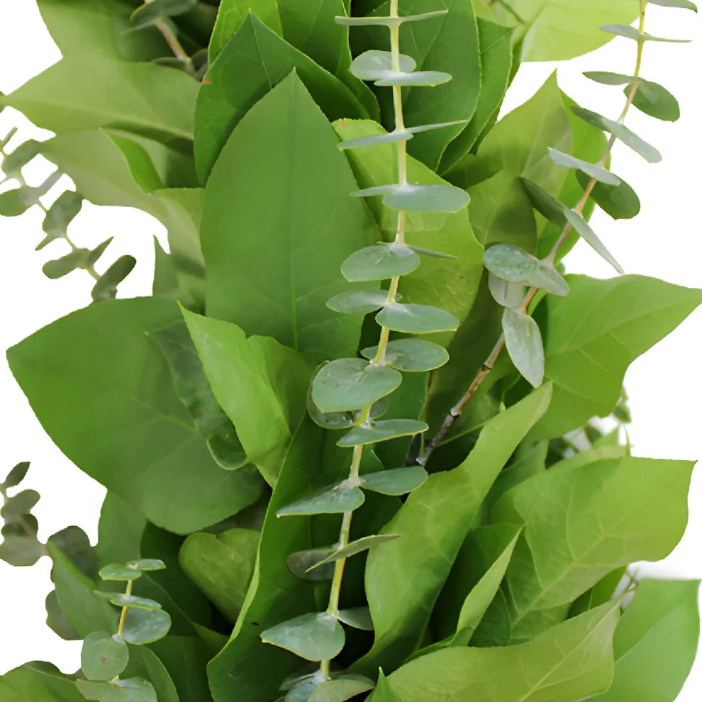 Baby Eucalyptus & Salal Garland - alternative 5