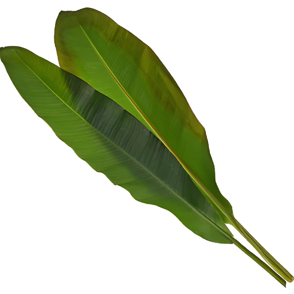 Banana Leaf Greenery - alternative 2