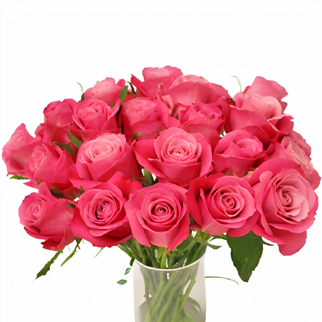 Beauty By Oger Roses Standard - alternative 1