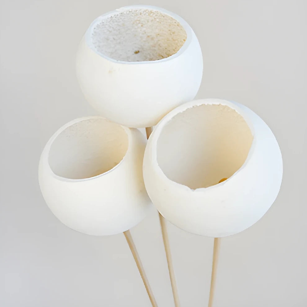 Bell Cup Dried - alternative 1