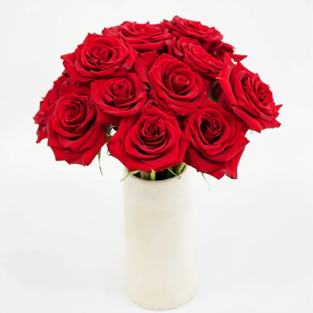 Black Magic Roses Standard - alternative 2