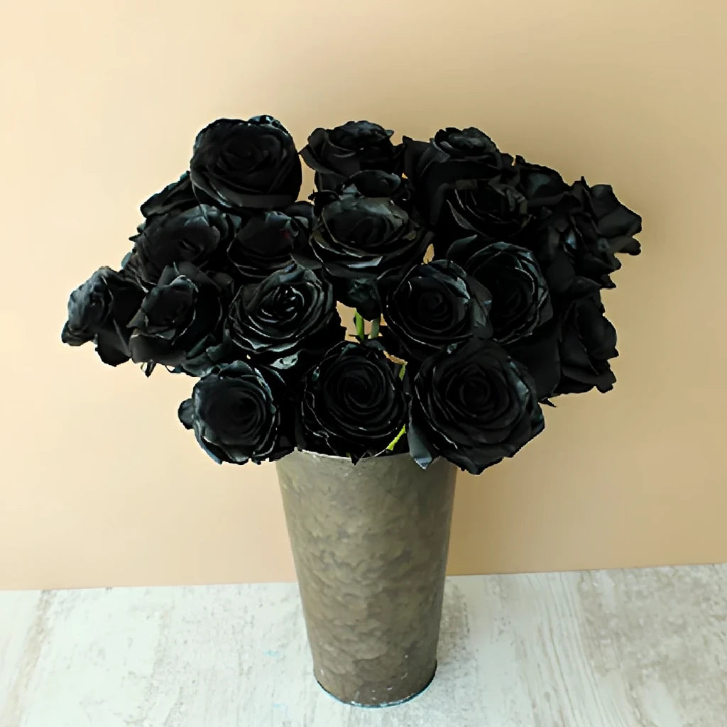Black Finess Roses Standard - alternative 4