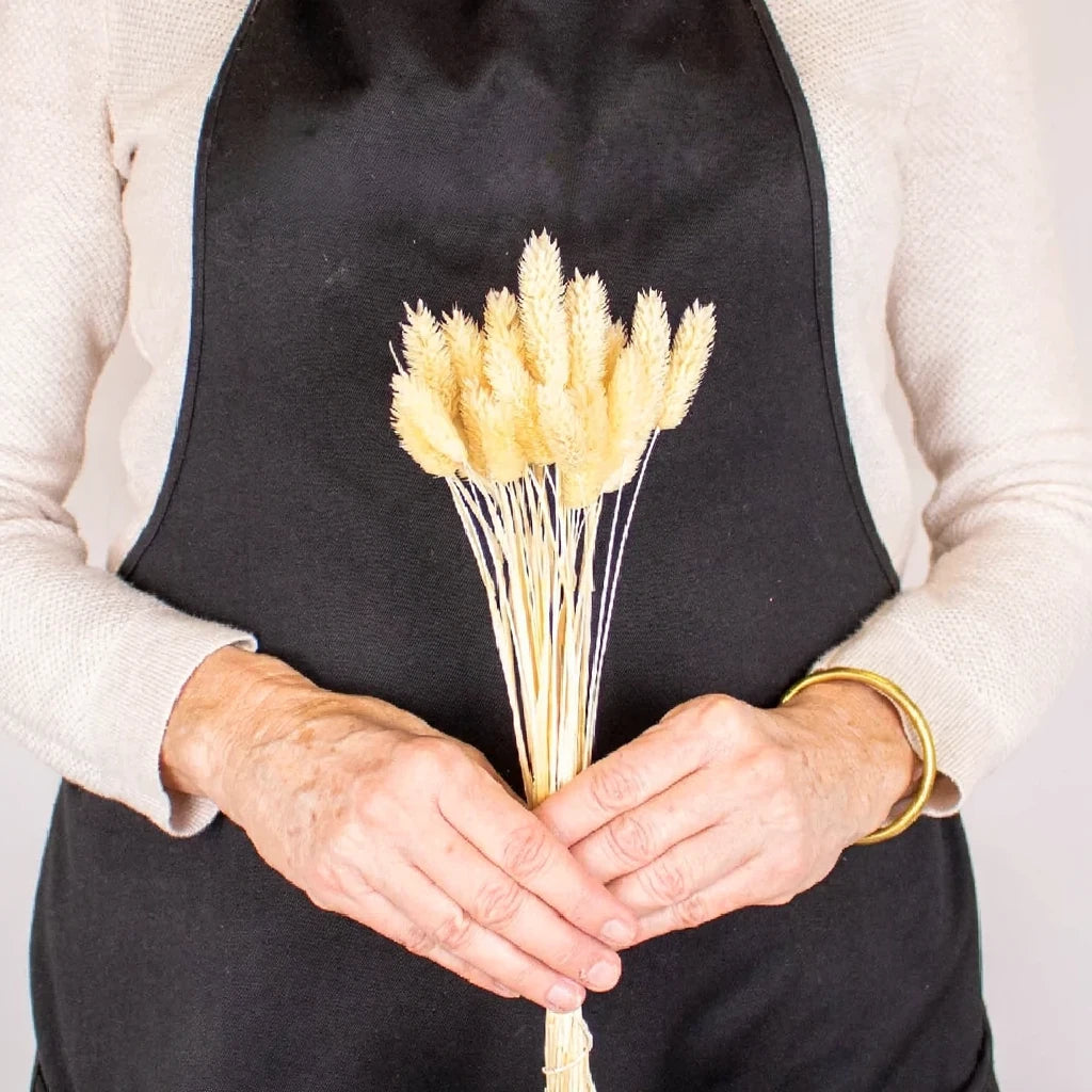 Canary Grass Dried - Natural - main