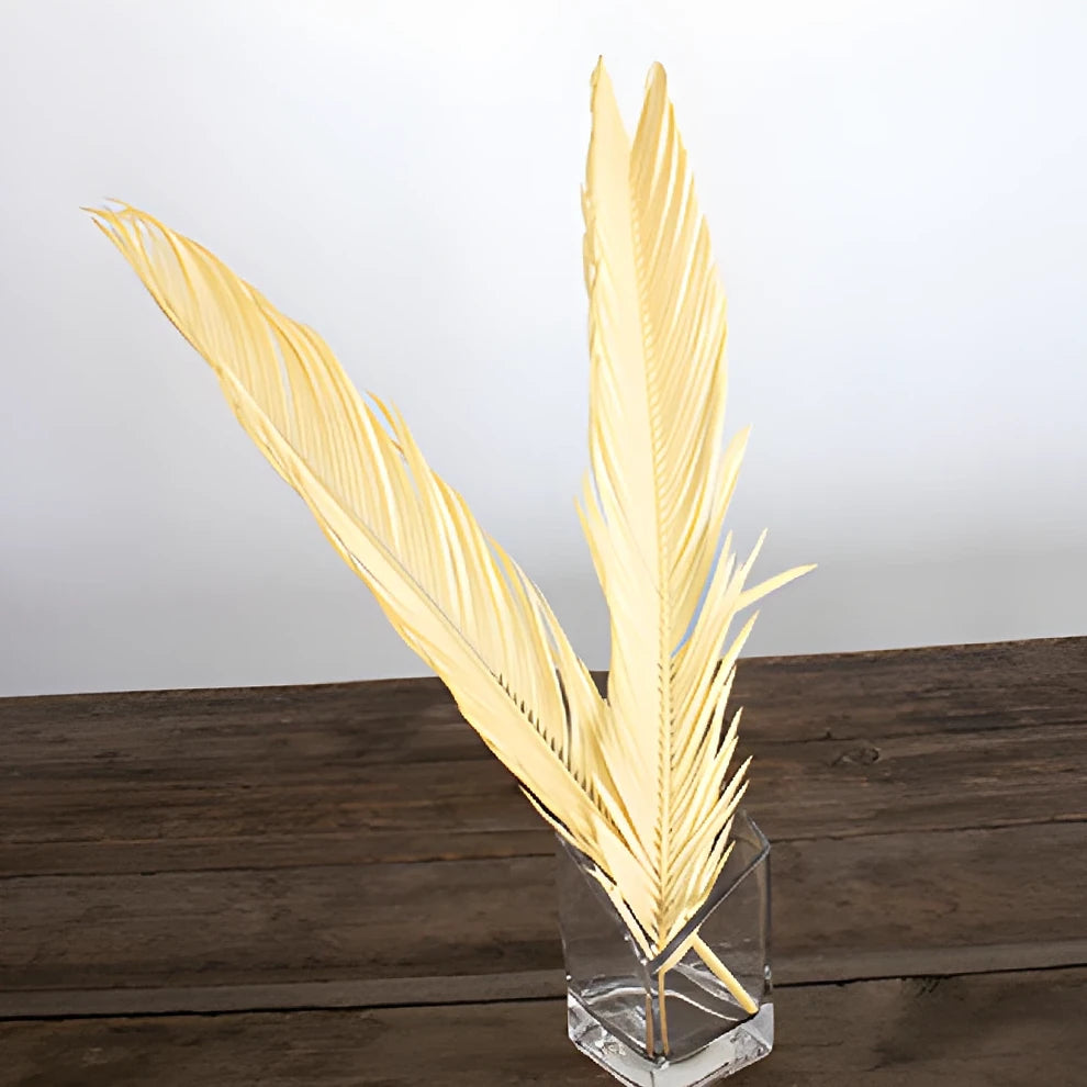 Sago Palm Dried - alternative 1