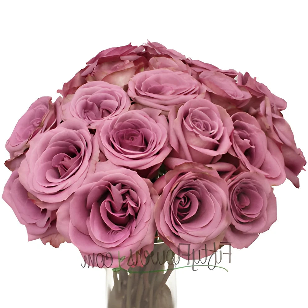 Blue Curiosa Roses Standard - main