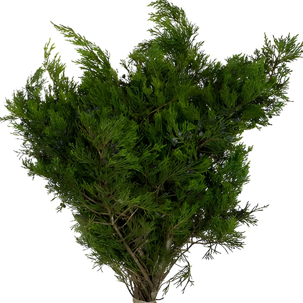 Blue Berry Cedar Greenery - alternative 1