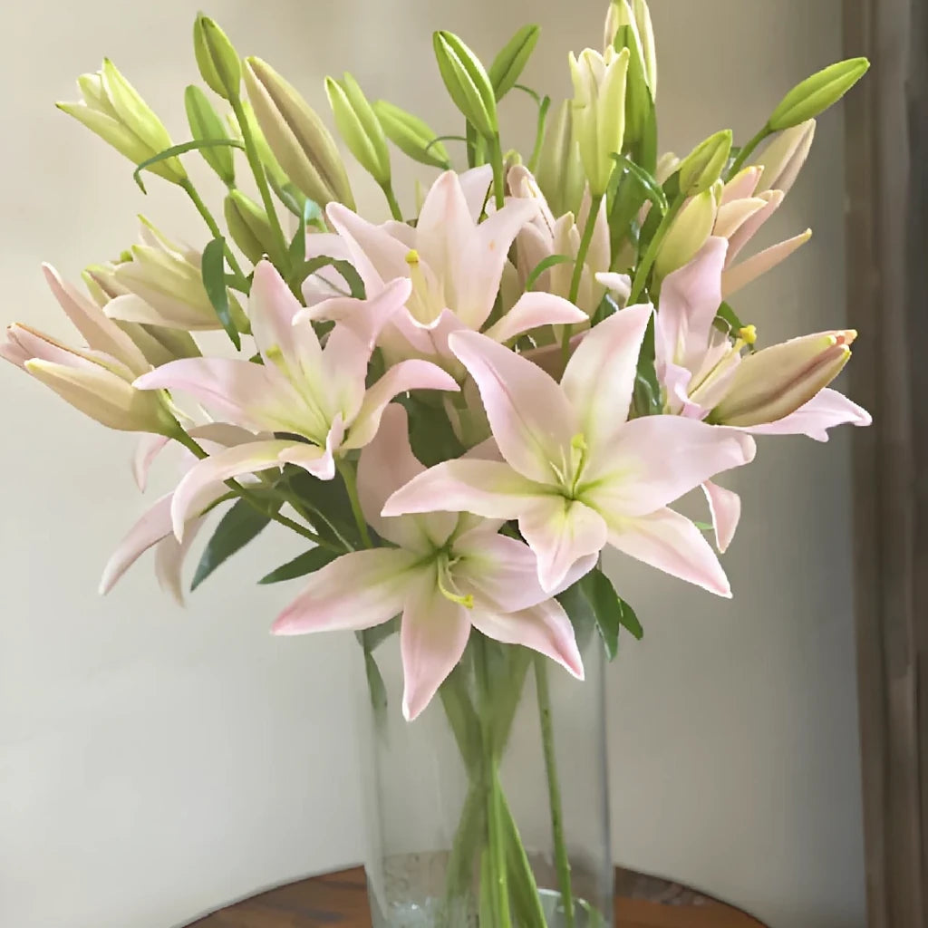 Party Diamond Lilies Asiatic - main