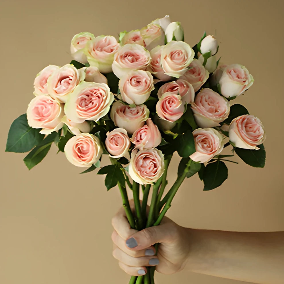 Blush Majolika Roses Spray - main