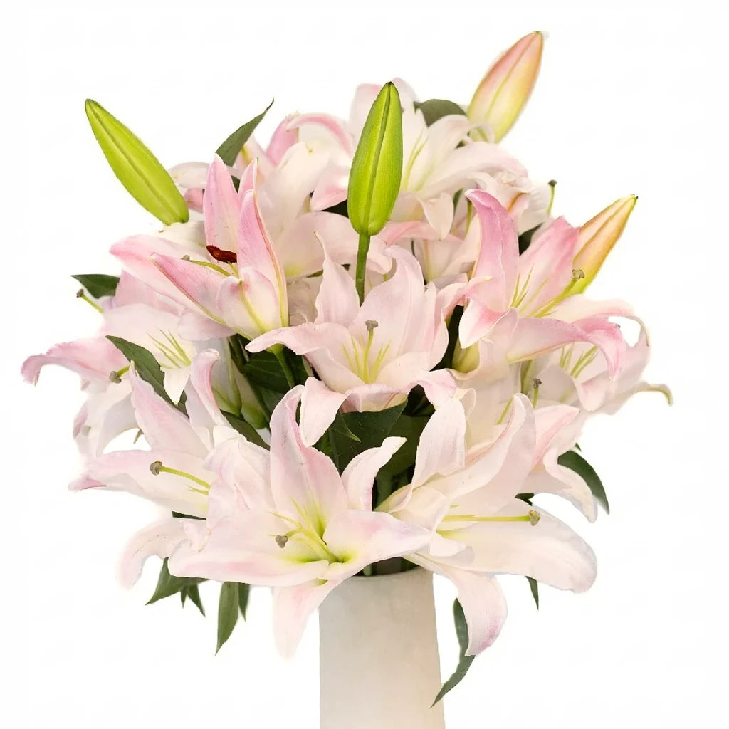 Willeke Alberti Lilies Oriental - alternative 2