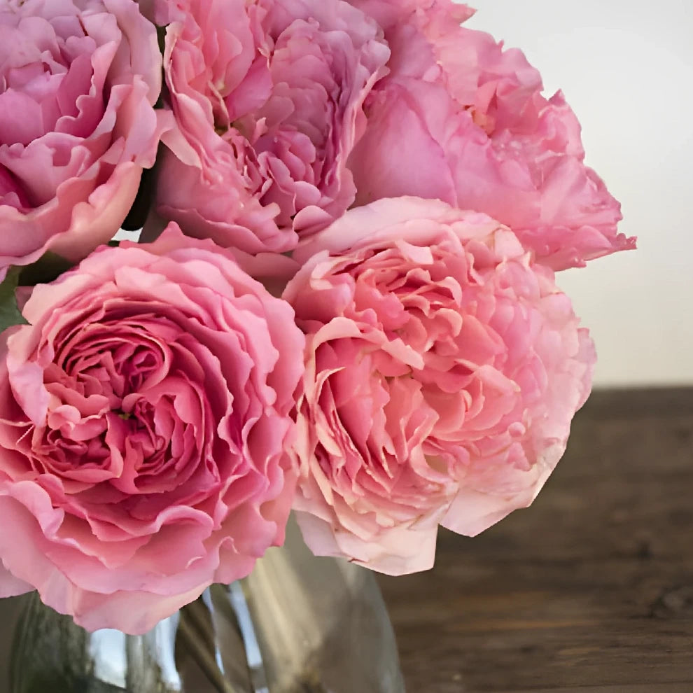 Blush Roses Garden - alternative 3