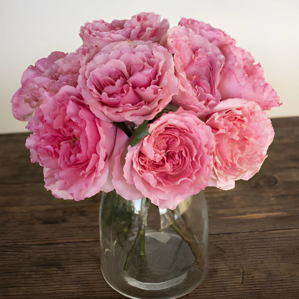 Blush Roses Garden - alternative 2