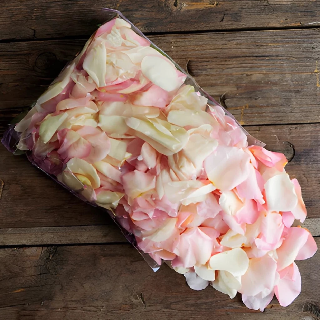 Blush Rose Petals - alternative 2