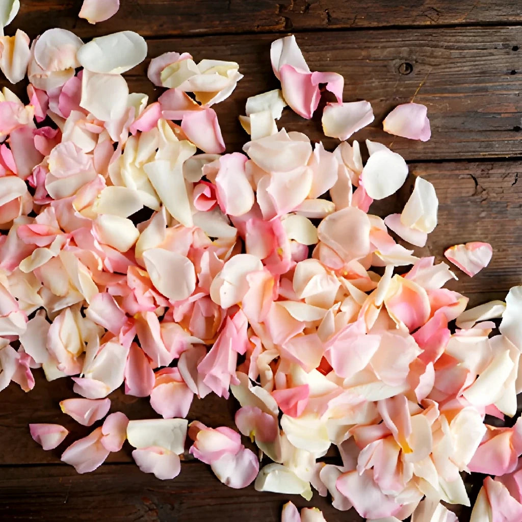 Blush Rose Petals - alternative 4