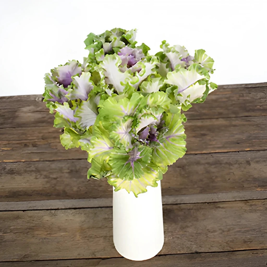 Lavender Kale - alternative 1