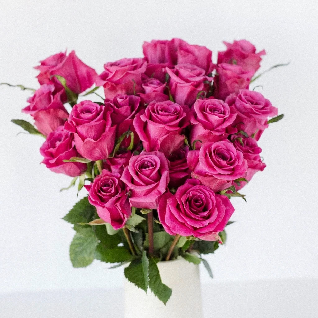 Breezer Roses Standard - main