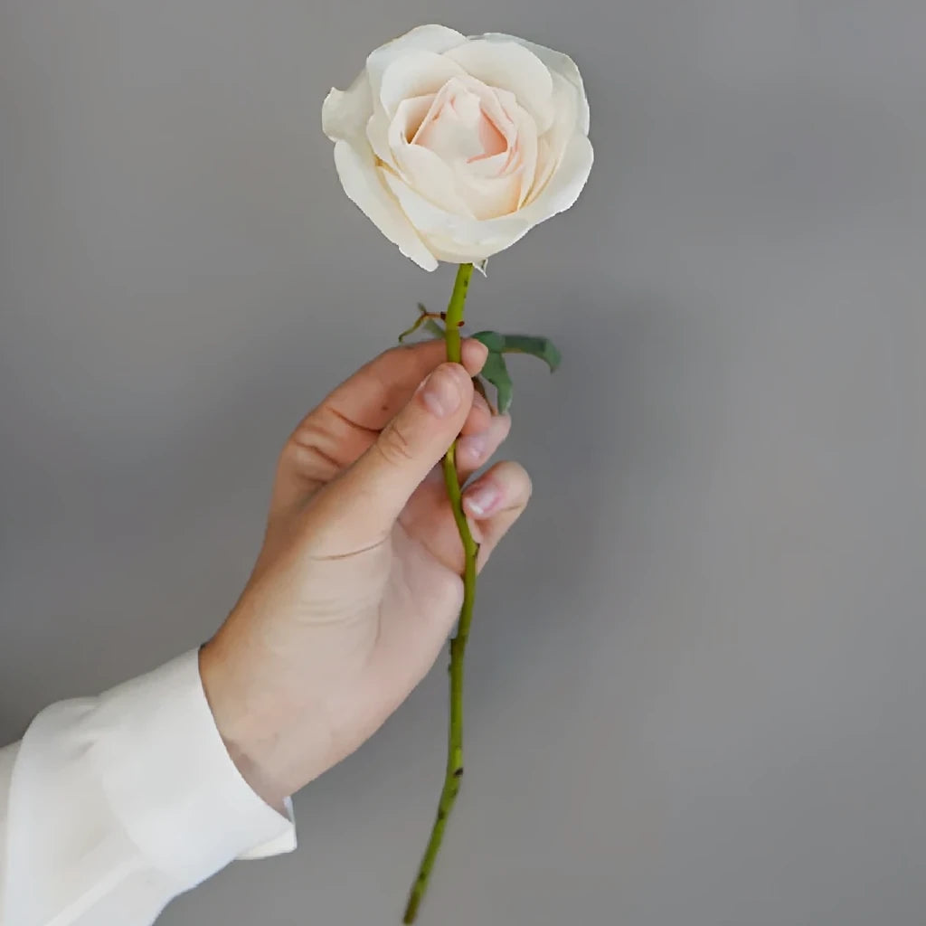 Bridal Akito Roses Standard - alternative 2