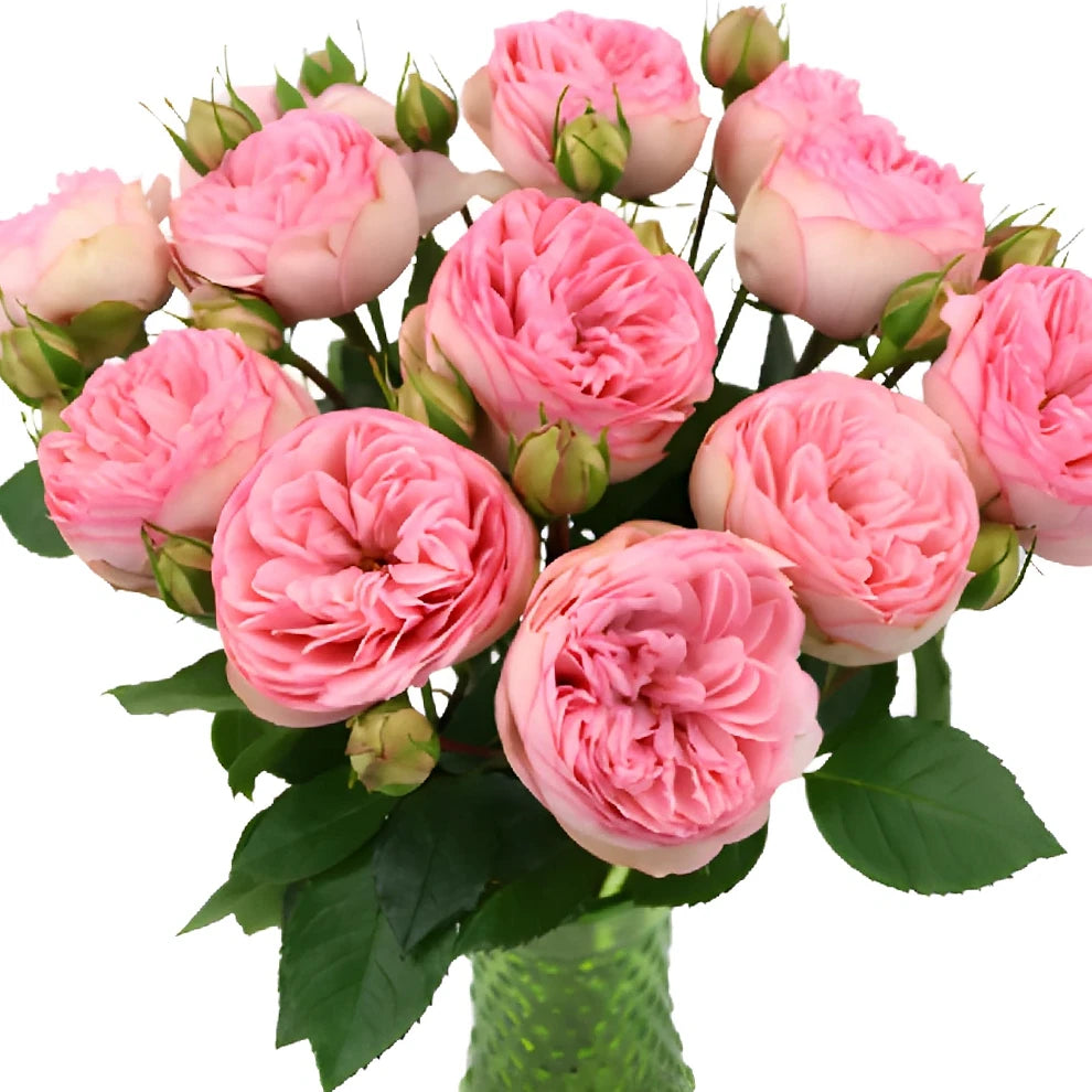Bridal Piano Roses Garden - main