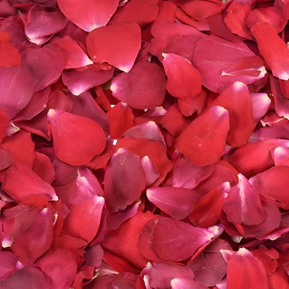 Freeze Dried Red Rose Petals - alternative 2