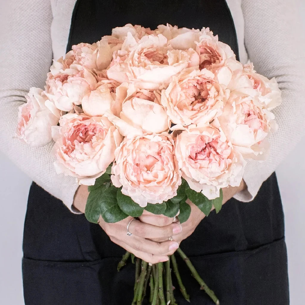 Bridal Tiara Roses Garden - main