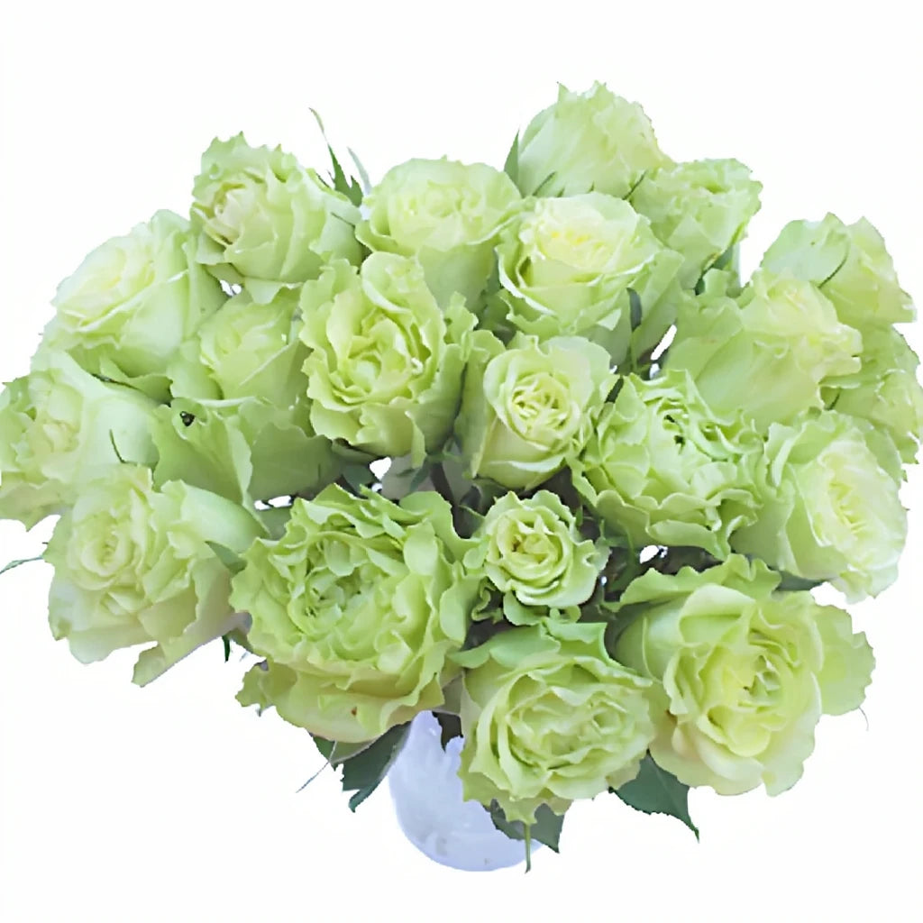 Super Green Roses Standard - alternative 1