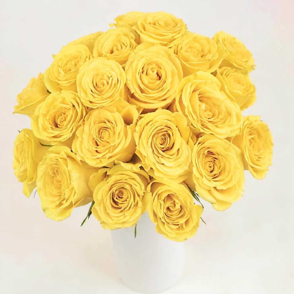 Yellow Roses Standard - alternative 1