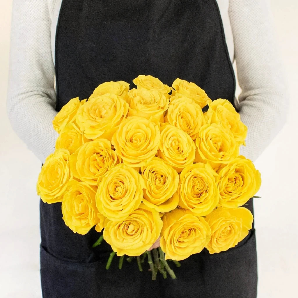 Canary Roses Standard - main