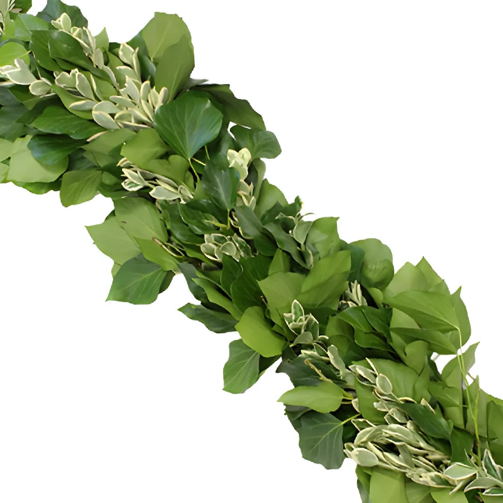 Bush Ivy & Euonymus Garland - alternative 3