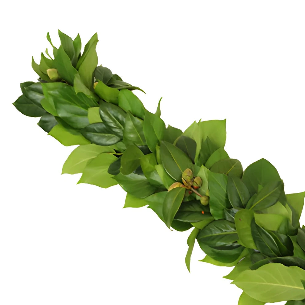 Camellia Garland - main