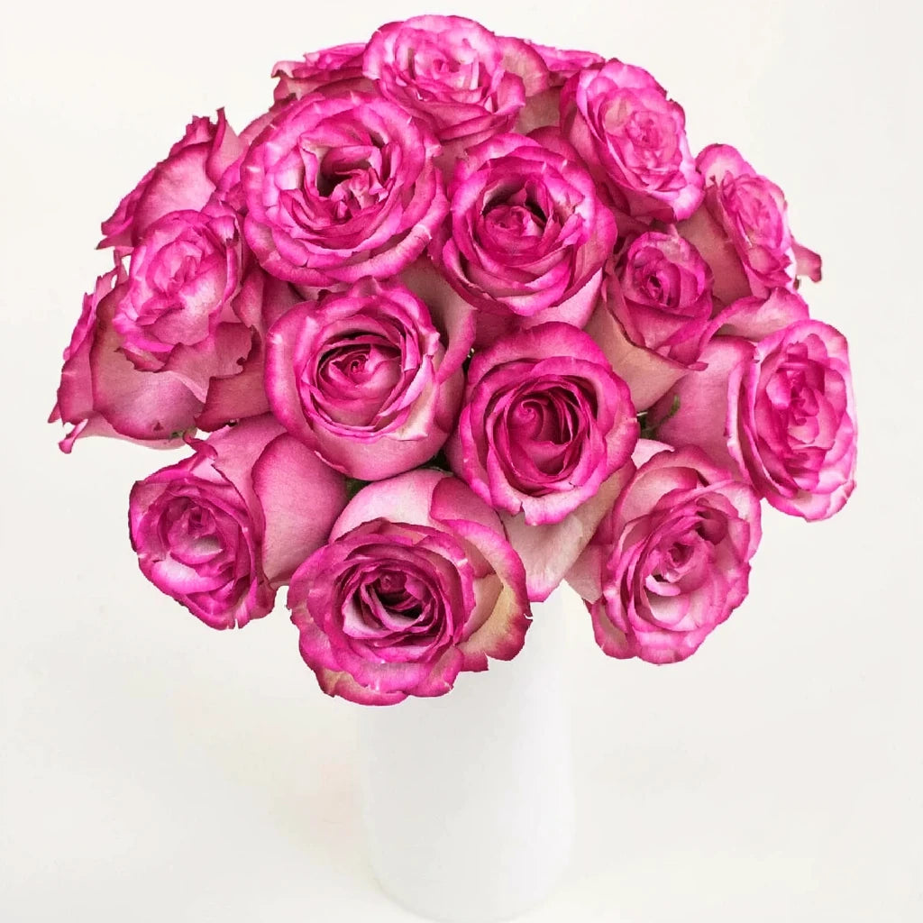 Duett Roses Standard - main