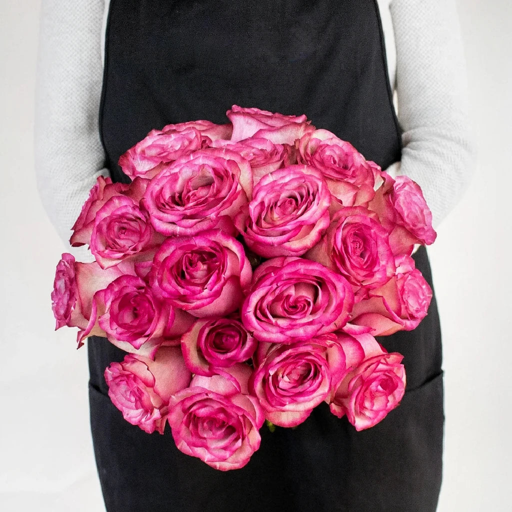 Carrousel Roses Standard - main