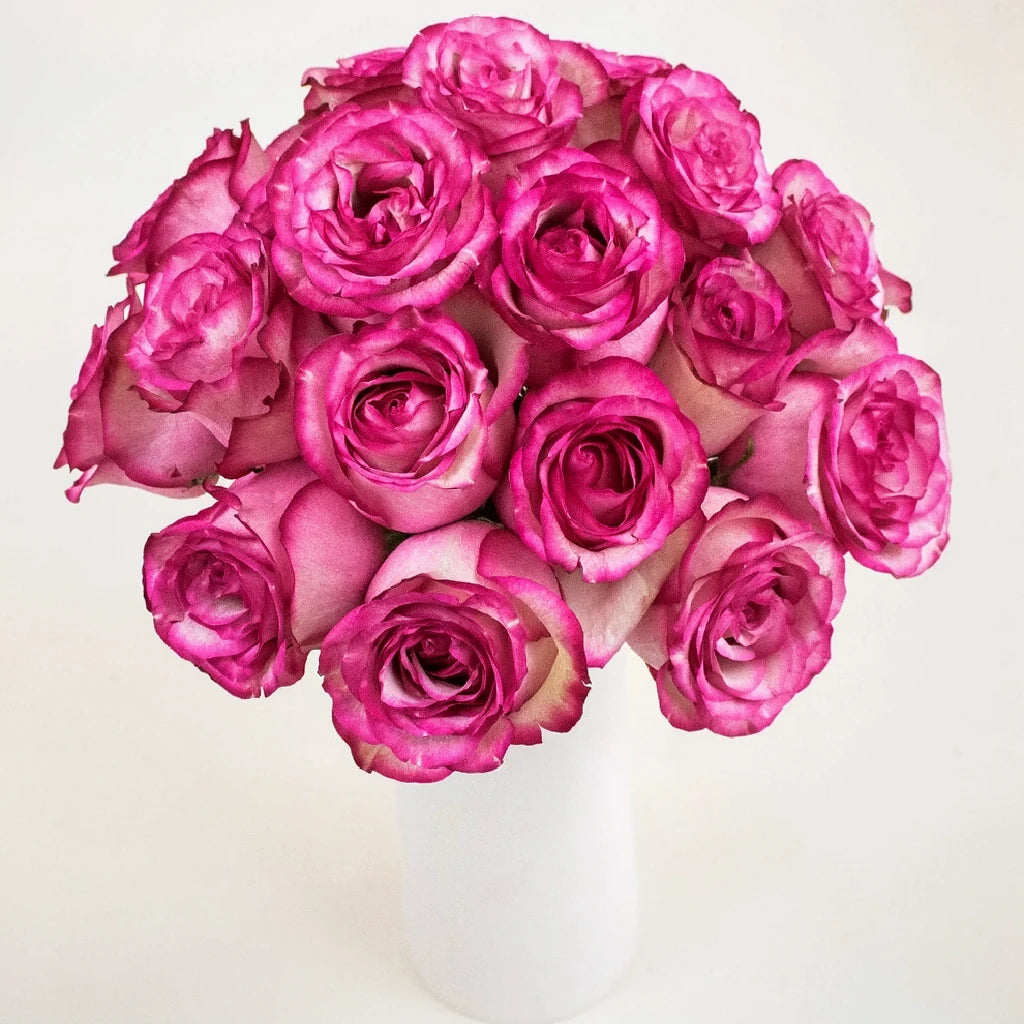 Raspberry Ice Roses Standard - alternative 1