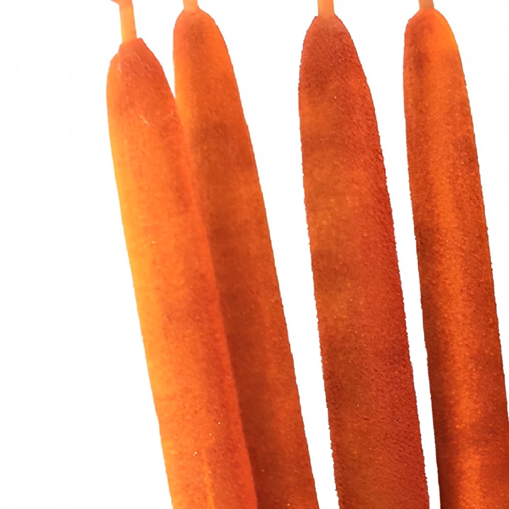 Orange Cat Tails - main