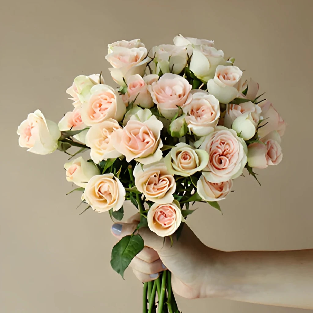 Chablis Roses Spray - alternative 2