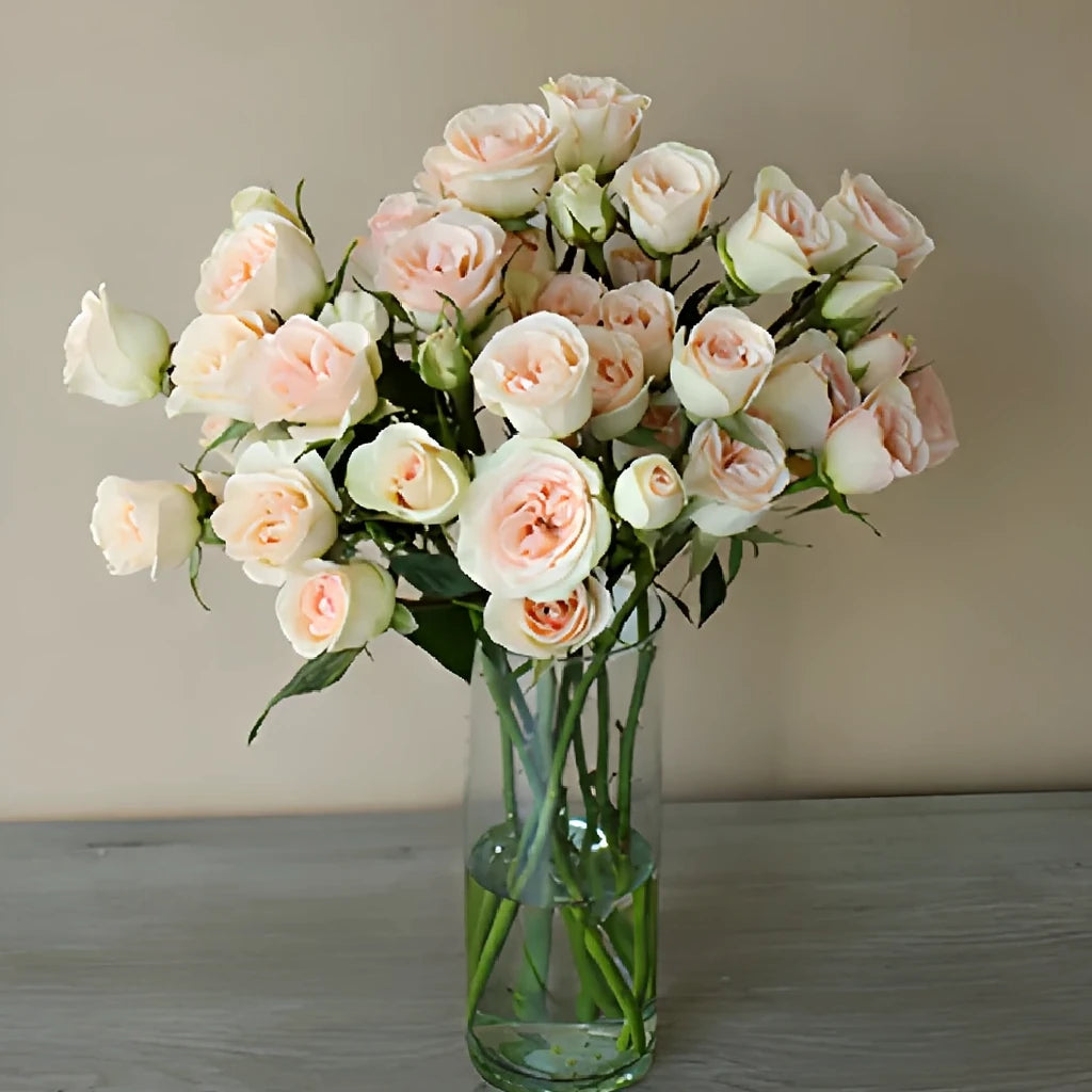 Chablis Roses Spray - main