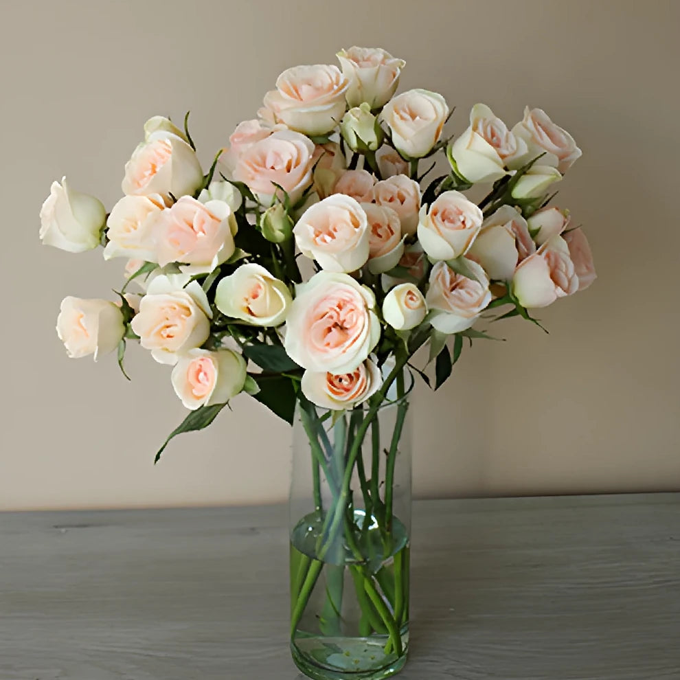 Chablis Roses Spray - alternative 3