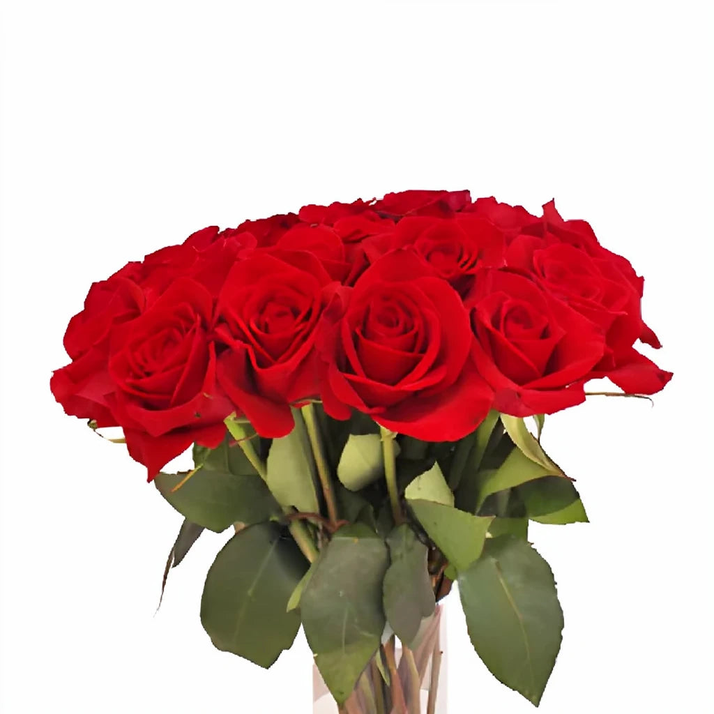 Cherry Love Roses Standard - alternative 1